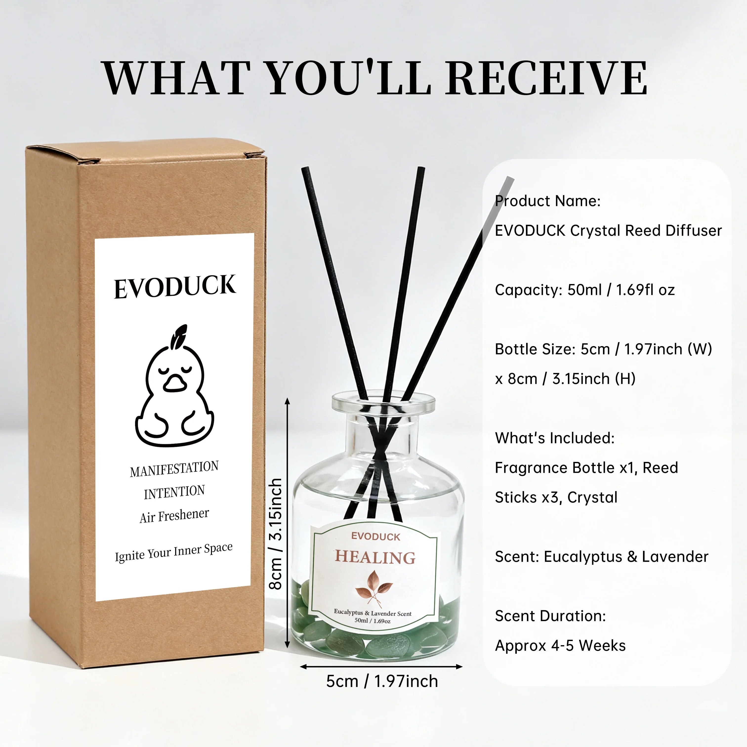 Botanical reed diffuser set, 100ml—eucalyptus & lavender scent with 3 black reeds