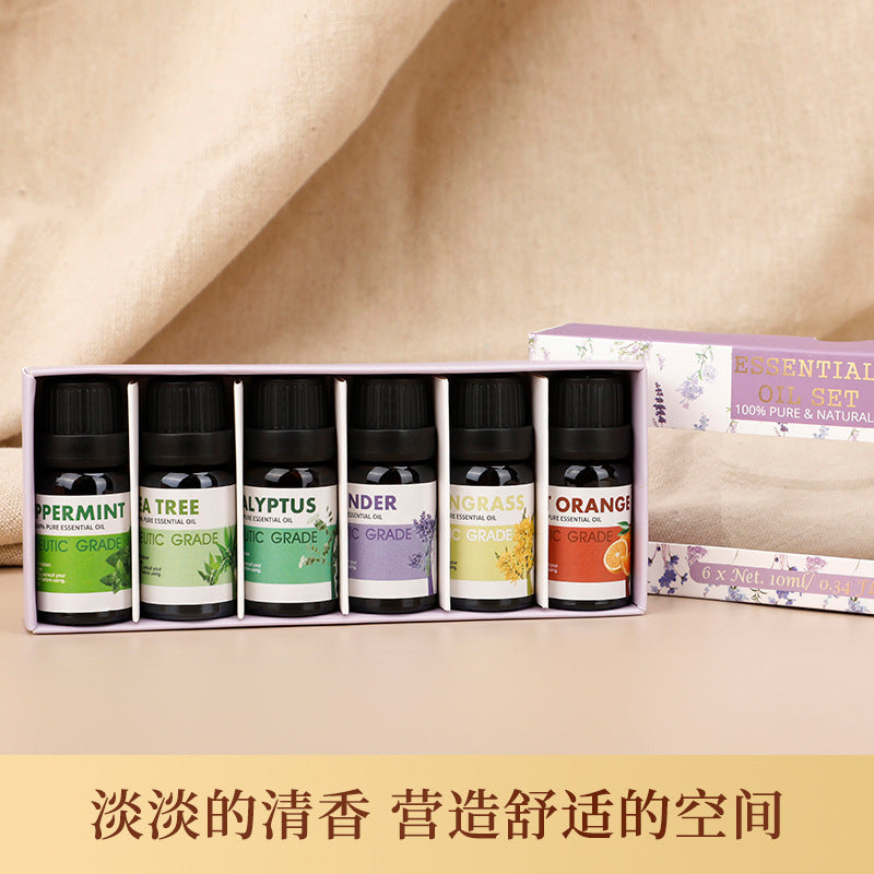 Essential oil set of 6 mini bottles in a box; labels include peppermint and eucalyptus.