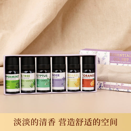 Essential oil set of 6 mini bottles in a box; labels include peppermint and eucalyptus.