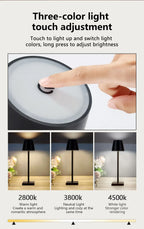Touch top of dark lamp for three color light settings: warm, neutral, white