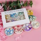 Seashell scented candle gift set with box and multiple glass candles showing starfish details