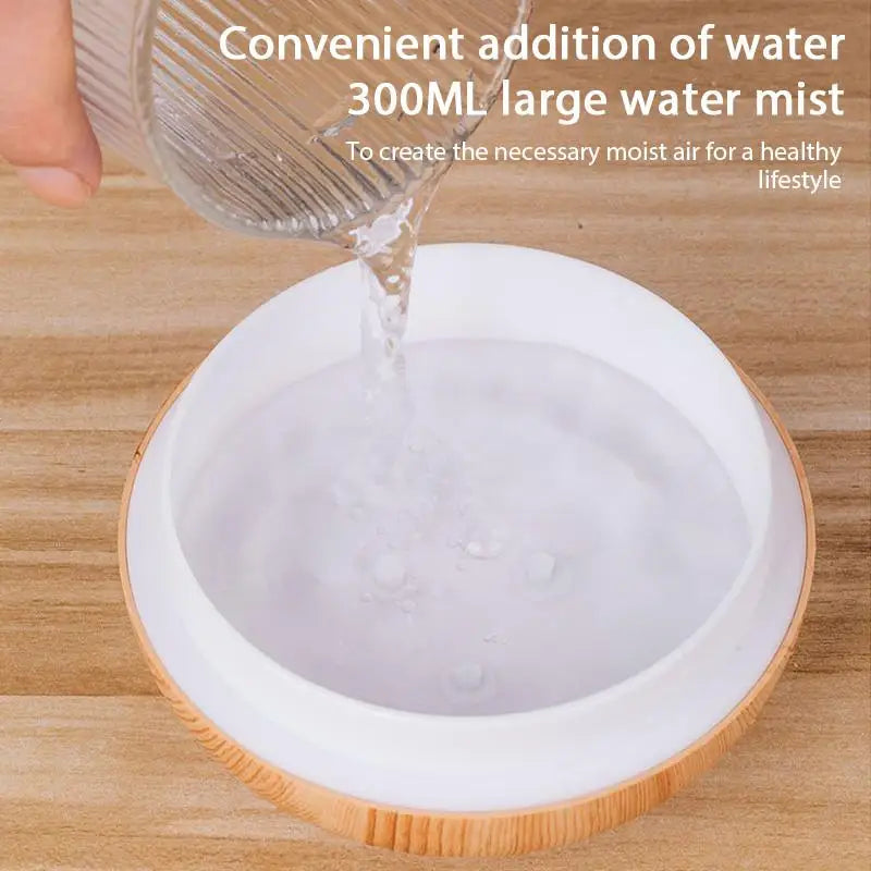 Mini vase humidifier with open white water tank and light wood rim