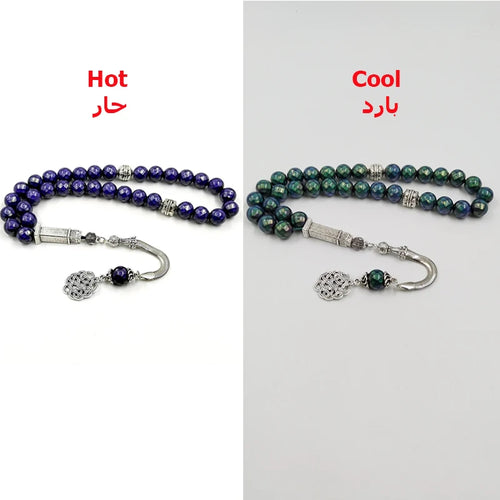 Tasbih rosary with dark purple faceted beads, silver-toned clasp, and charm tassel.