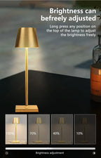Champagne gold rechargeable desk lamp with adjustable brightness from top button
