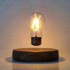 Glowing LED bulb night lamp on dark round wooden base