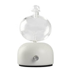 Aroma diffuser with clear glass top and white base with round silver knob